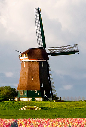 windmill